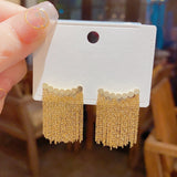 14K Gold-plated Tassel Luxury Earrings