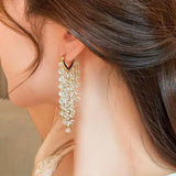 14K Gold-Plated Crystal Tassel Earrings