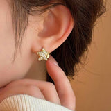 14K Gold-Plated Elegant Diamond Star Earrings