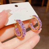 14K Gold Plated Zircon Purple Hoop Earrings