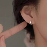 Sterling Silver Elegant Star Earrings