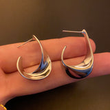 Sterling Silver Glossy Irregular Earrings