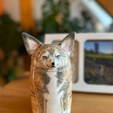 Personalized Pet Urn for Ashes