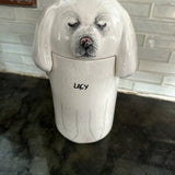 Personalized Pet Urn for Ashes